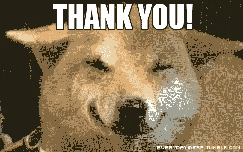 Un cane che ringrazia, con la scritta THANK YOU